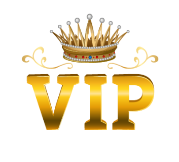 vipsubscription website